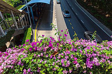 育碧+将登陆Xbox 《彩虹六号：异种》首发入库XGP